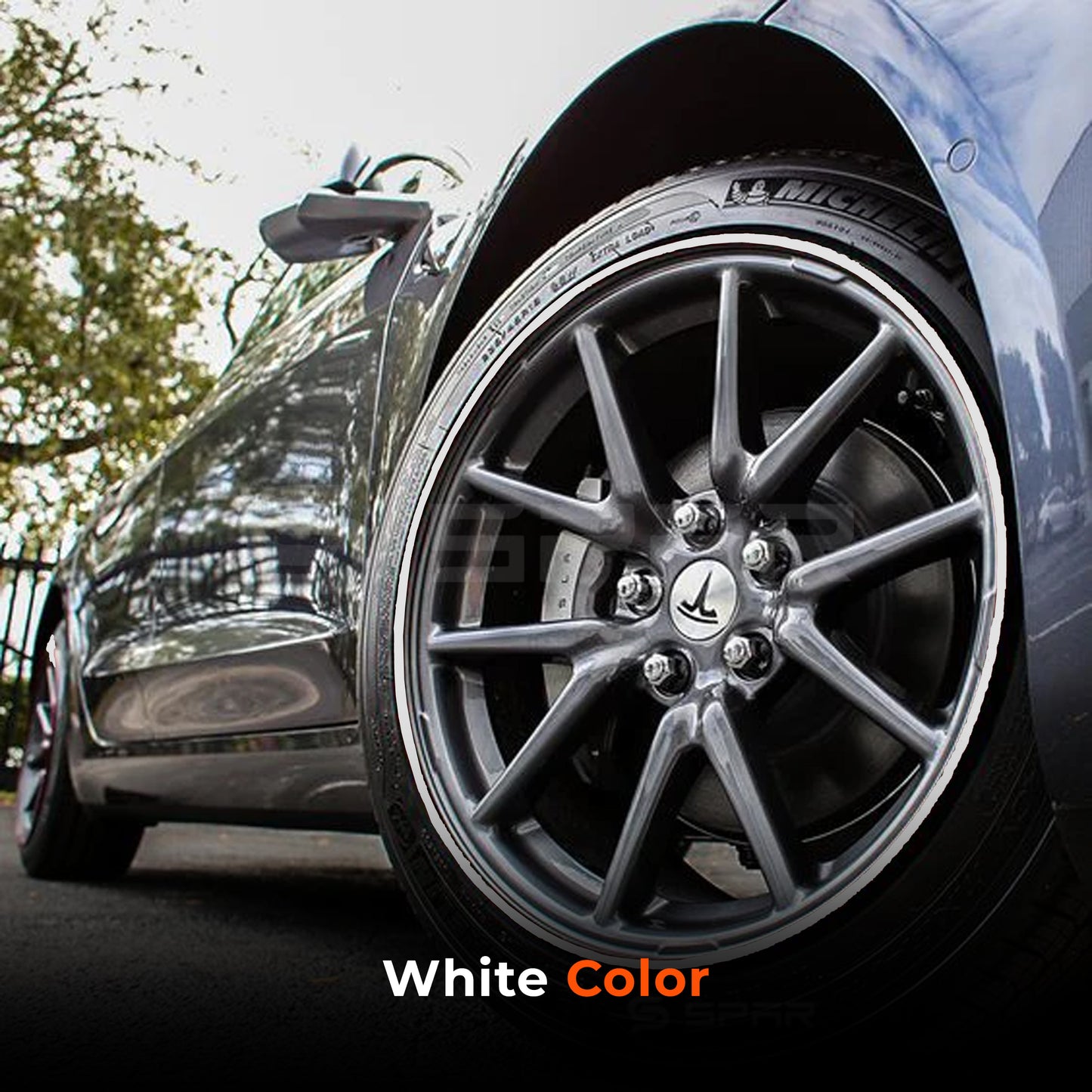 Wheel Rims Alloy Protector for Tesla Model 3