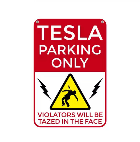 Tesla Parking Board for Model S/3/X/Y