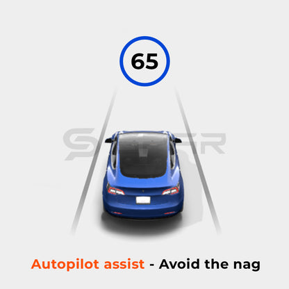 Autopilot Buddy Counterweight for Tesla Model 3/Y
