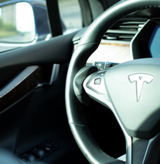 Autopilot Buddy Counterweight for Tesla Model S/X